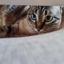 Beatriz Leiria Portugal