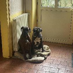 Krilain Sainte-Colombe-sur-Loing France