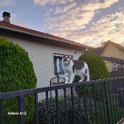 Natdupont Livry-Gargan France