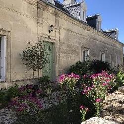 Nonos Cl&eacute;r&eacute;-les-Pins France