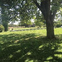 Piefloyd Cavaillon France