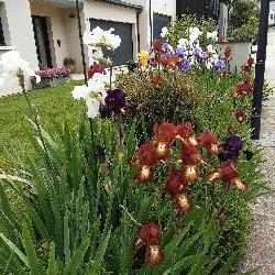 Soiz Avrill&eacute; France