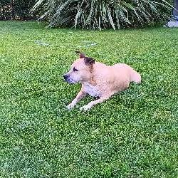 beabea Bouchet France