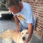 dominos Vieux Cond&eacute; France