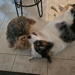 familypays Ouistreham France