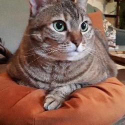 g_verha Chambonas France