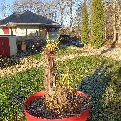 gites Saint-Martin-d'Auxigny France