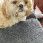 harumi17320 Marennes France