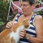 hoptagada Sartrouville France