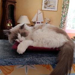 isisann La Ben&acirc;te France