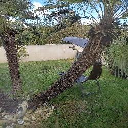 lilybleu Saint-Pierre-d'Ol&eacute;ron France