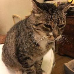 maeva06590 Th&eacute;oule-sur-Mer France