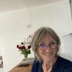 obiwan Breuillet France