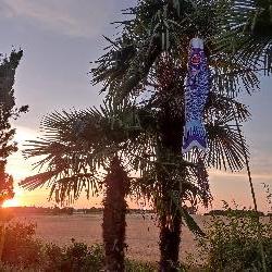 patriciaL Lavalette France