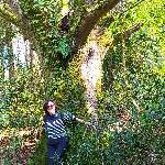 risette Ploufragan France