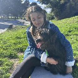 romane_zklr Le Havre France