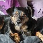 sophie584 Tournus France