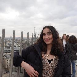 sorayalaricaine Manhattan United-States