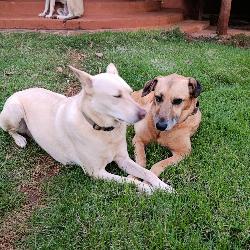 terradeluz Las Galeras Dominican-Republic