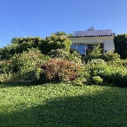 tony44 Cou&euml;ron France