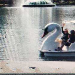 virginia20 Orl&eacute;ans France