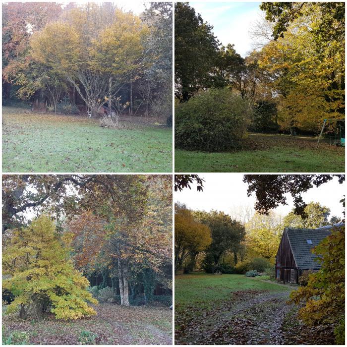 Home sitting Tr&eacute;drez-Locqu&eacute;meau, France