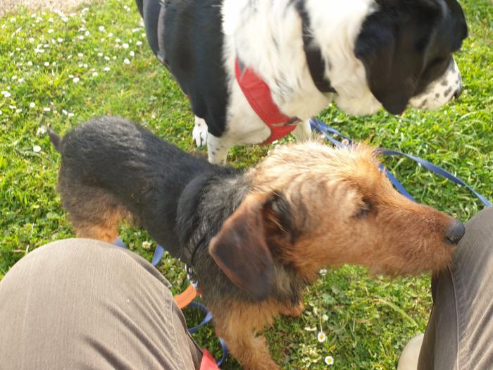 Home sitting Saint-Pierre-dExideuil, France