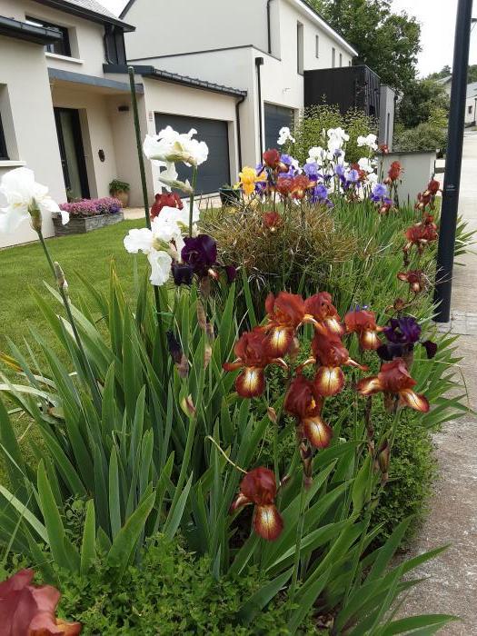 Home sitting Avrill&eacute;, France