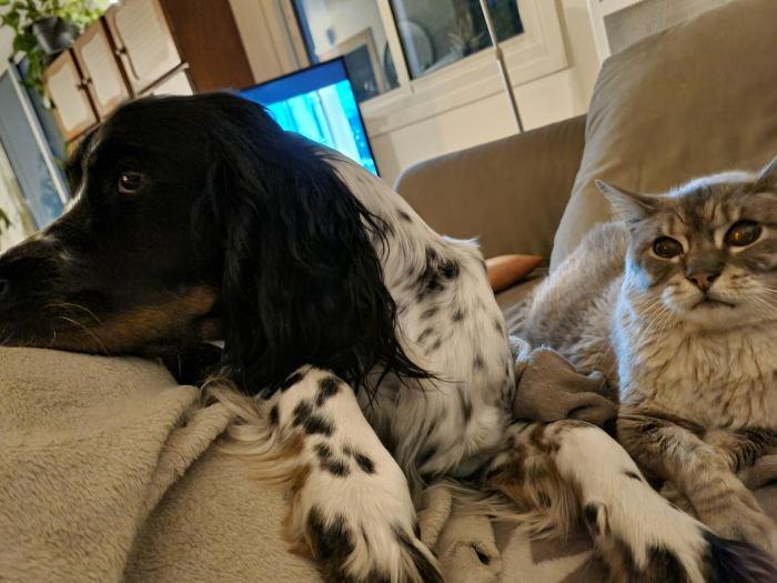 Home sitting Barbizon, France